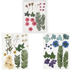 Stisnjeni cvetovi in ​​listi / različne variante
