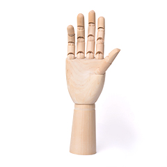 Drevený model ruky – mužská a ženská ruka